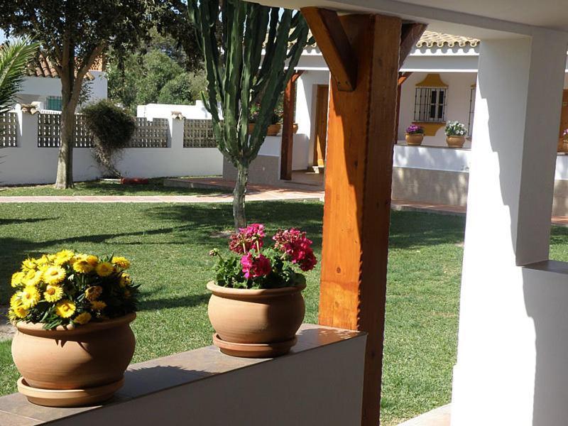Hostal Las Acacias 로스 카뇨스 데 메카 외부 사진