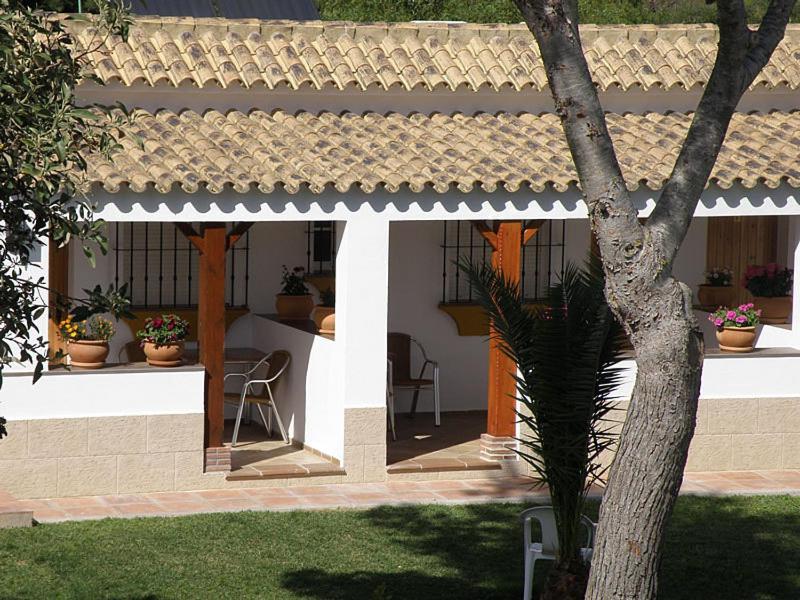 Hostal Las Acacias 로스 카뇨스 데 메카 외부 사진